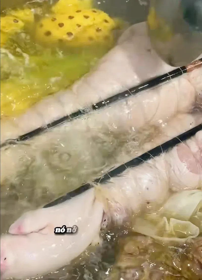 Cách luộc thứ hai: giò heo rút xương luộc để xắt lát khoanh, luộc trong nồi nước dùng bún bò Huế đã có gia vị cho thịt thấm vị, tại lớp học Bếp Cô Linh