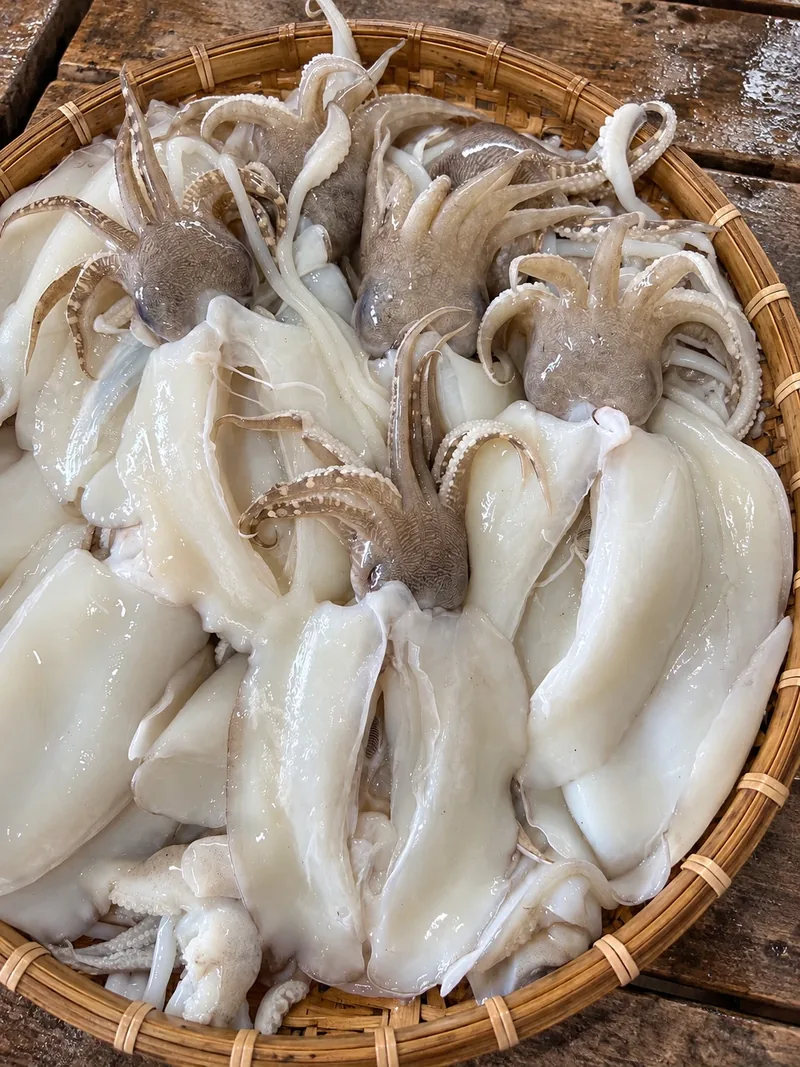 Khay mực nang tươi khoảng 800 gam một con, dùng làm nhân lẩu, mực sa tế hoặc gỏi hải sản
