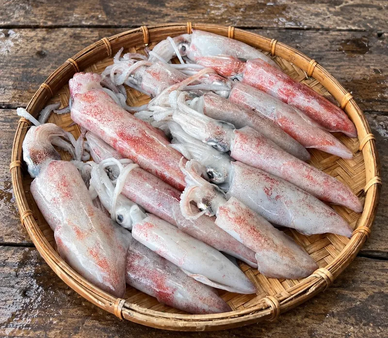 Khay mực ống tươi cỡ 8 đến 10 con một ký, dùng làm mực ống nhồi thịt hấp hoặc mực xốt hoàng kim