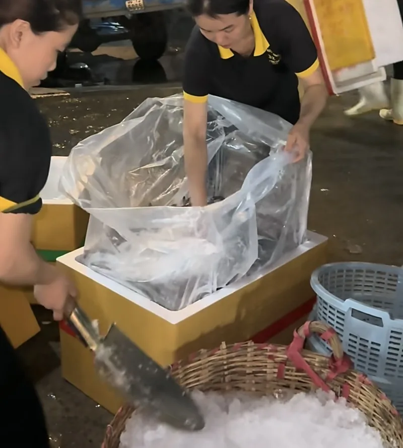 Hai nhân viên xúc đá lót vào thùng xốp có bọc lớn đựng tôm tươi để giữ tươi khi chở đi