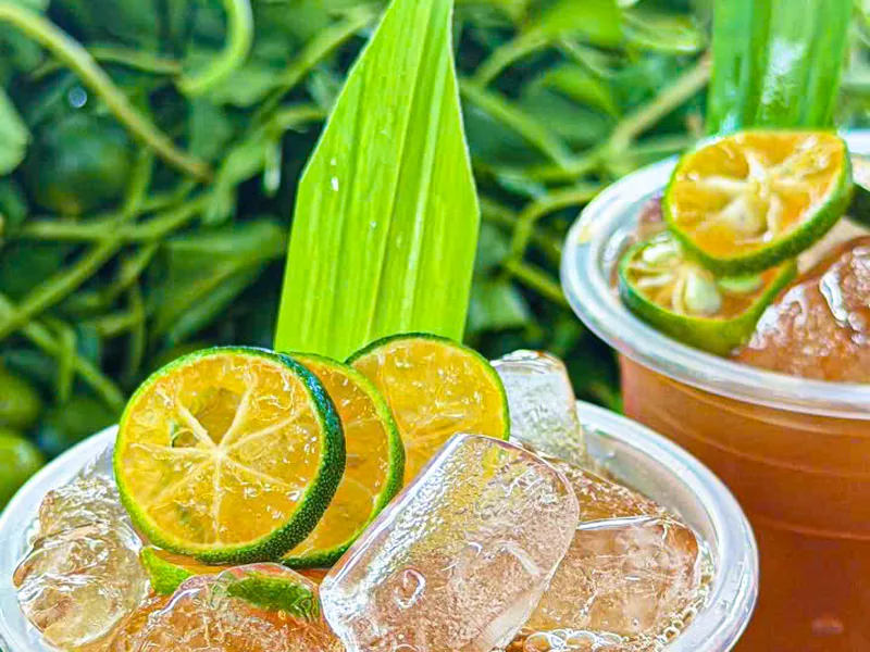 Ly trà Mộc Tâm với đá và lát tắc — khoá Trà Mộc Tâm, Bếp Cô Linh